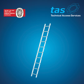 TAS Scaffold Ladders